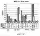 Fig. 15 - Synthetic gene encoding rhesus monkey carcinoembryonic antigen and uses thereof