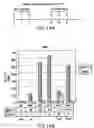 Fig. 19 - Synthetic gene encoding rhesus monkey carcinoembryonic antigen and uses thereof