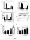 Fig. 02 - Neuronally expressed stem cell factor modulates angiogenesis and neural stem cell migration to areas of brain injury