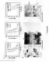 Fig. 08 - Neuronally expressed stem cell factor modulates angiogenesis and neural stem cell migration to areas of brain injury