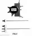 Fig. 07 - Compositions and methods for treatment of chronic and infectious diseases