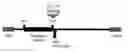 Fig. 01 - Adenoviral vector-based vaccines