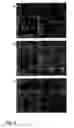 Fig. 05 - Modulation of angiogenesis by 