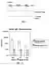 Fig. 02 - Vaccine compositions and methods of treating coronavirus infection