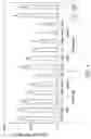 Fig. 12 - Vaccine compositions and methods of treating coronavirus infection