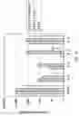 Fig. 14 - Vaccine compositions and methods of treating coronavirus infection