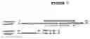 Fig. 02 - Nucleic acid molecules and polypeptides for immune modulation