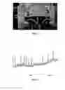 Fig. 02 - Implants with attached silylated therapeutic agents