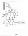 Fig. 04 - Implants with attached silylated therapeutic agents