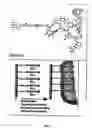 Fig. 07 - Implants with attached silylated therapeutic agents