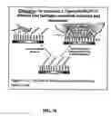 Fig. 09 - Implants with attached silylated therapeutic agents