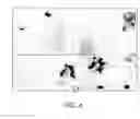 Fig. 04 - Method and composition for treating cancer using cellular organelle crystallizing agents