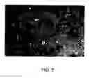 Fig. 07 - Method and composition for treating cancer using cellular organelle crystallizing agents