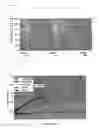 Fig. 07 - Process for granulation of edible seeds