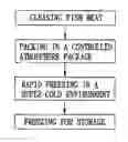 Fig. 01 - Method of preserving a fish meat product