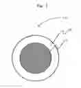 Fig. 02 - Heat resistant capsule and process for producing the same