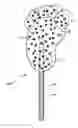 Fig. 01 - Luminous candy