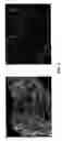Fig. 04 - Mineral-bound starch compositions and methods of making the same
