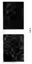 Fig. 05 - Mineral-bound starch compositions and methods of making the same