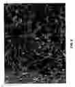 Fig. 09 - Mineral-bound starch compositions and methods of making the same