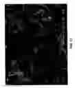 Fig. 14 - Mineral-bound starch compositions and methods of making the same