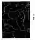 Fig. 15 - Mineral-bound starch compositions and methods of making the same