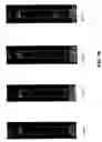 Fig. 20 - Mineral-bound starch compositions and methods of making the same