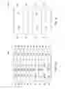 Fig. 19 - Cluster tool architecture for processing a substrate
