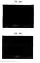 Fig. 11 - Foam-paperboard laminates, articles incorporating same and methods of making the same