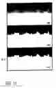 Fig. 06 - Card sheet construction with opposing registered cut lines