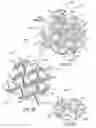 Fig. 03 - Re-entrant cellular multifunctional structure for energy absorption and method of manufacturing and using the same