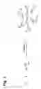 Fig. 02 - Magnetic nanoparticle supports