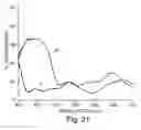 Fig. 17 - Optical film