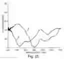 Fig. 21 - Optical film