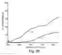 Fig. 22 - Optical film