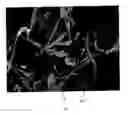 Fig. 02 - Electrically conductive cellulose composite