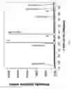 Fig. 11 - Electrochemical apparatus with barrier layer protected substrate
