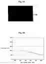 Fig. 09 - Liquid crystal display