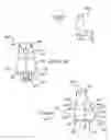 Fig. 14 - Dental restorative system and components