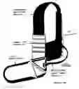 Fig. 01 - Athletic swing training harness