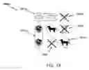 Fig. 09 - System and method for automated assessment of constrained constructed responses