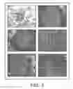 Fig. 04 - Establishment of a human embryonic stem cell line using mammalian cells