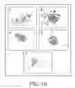 Fig. 11 - Establishment of a human embryonic stem cell line using mammalian cells