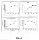 Fig. 14 - Establishment of a human embryonic stem cell line using mammalian cells