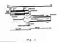Fig. 03 - Viral vectors with improved properties
