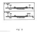 Fig. 10 - Viral vectors with improved properties