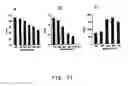 Fig. 15 - Viral vectors with improved properties