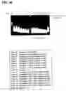 Fig. 47 - Method for forming self-assembly substance using oligonucleotide synthesized by gene amplification reaction, self-assembly substance and method for detecting gene