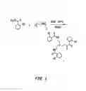 Fig. 02 - Salicylamide-lanthanide complexes for use as luminescent markers