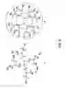 Fig. 07 - Salicylamide-lanthanide complexes for use as luminescent markers